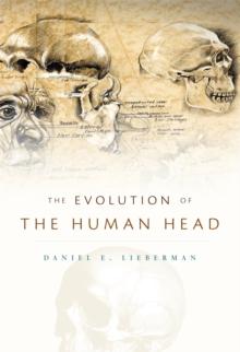 The Evolution of the Human Head