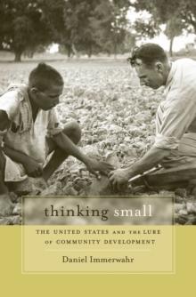 Thinking Small : The United States and the Lure of Community Development