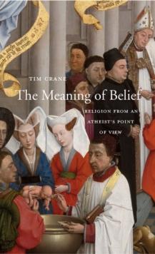 The Meaning of Belief : Religion from an Atheist's Point of View