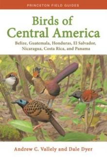 Birds of Central America : Belize, Guatemala, Honduras, El Salvador, Nicaragua, Costa Rica, and Panama