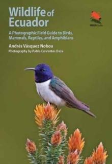 Wildlife of Ecuador : A Photographic Field Guide to Birds, Mammals, Reptiles, and Amphibians