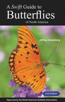 A Swift Guide to Butterflies of North America : Second Edition