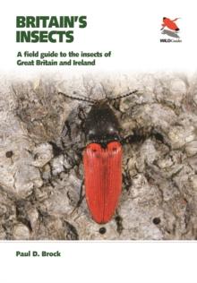 Britain's Insects : A Field Guide to the Insects of Great Britain and Ireland