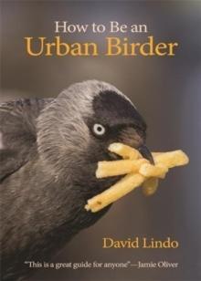 How to Be an Urban Birder