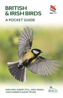 British Birds : A Pocket Guide