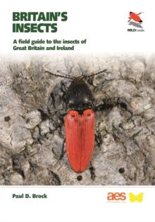 Britain's Insects : A Field Guide to the Insects of Great Britain and Ireland