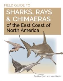 Field Guide to Sharks, Rays and Chimaeras of the East Coast of North America