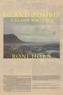 Island Zombie : Iceland Writings