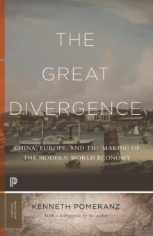 The Great Divergence : China, Europe, and the Making of the Modern World Economy