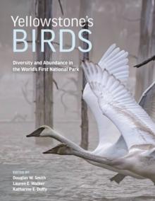 Yellowstone's Birds : Diversity and Abundance in the World's First National Park