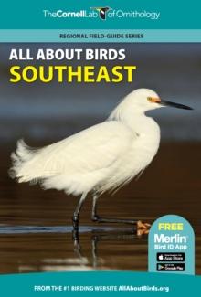 All About Birds Southeast