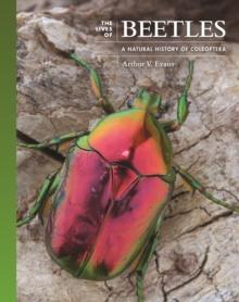 The Lives of Beetles : A Natural History of Coleoptera