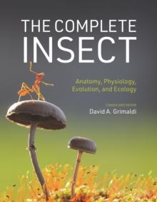 The Complete Insect : Anatomy, Physiology, Evolution, and Ecology