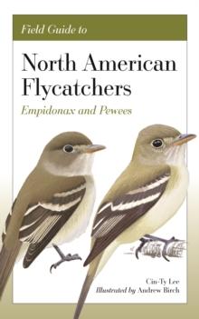 Field Guide to North American Flycatchers : Empidonax and Pewees