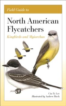 Field Guide to North American Flycatchers : Kingbirds and Myiarchus