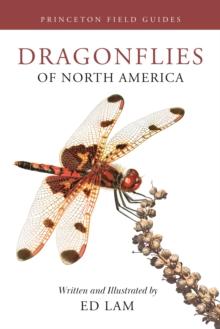 Dragonflies of North America