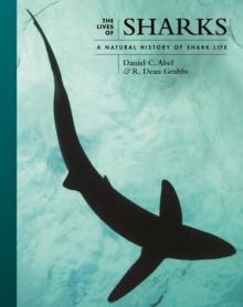 The Lives of Sharks : A Natural History of Shark Life