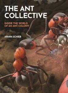 The Ant Collective : Inside the World of an Ant Colony