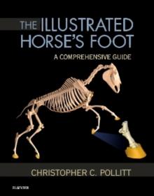 The Illustrated Horse's Foot : A comprehensive guide