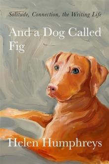 And A Dog called Fig : Solitude, Connection, the Writing Life