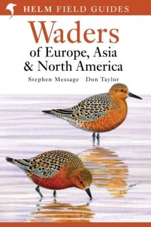 Waders of Europe, Asia and North America