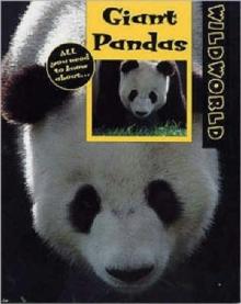 Giant Pandas