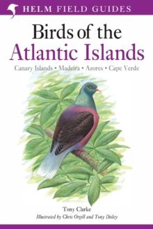 A Field Guide to the Birds of the Atlantic Islands : Canary Islands, Madeira, Azores, Cape Verde