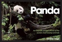 Panda : An Intimate Portrait of One of the World's Most Elusive Creatures