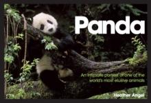 Panda : An Intimate Portrait of One of the World's Most Elusive Creatures