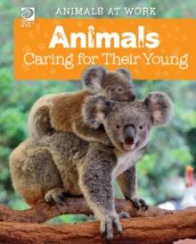 Animals Caring for Their Young