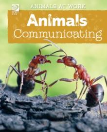 Animals Communicating