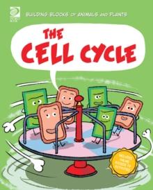 The Cell Cycle