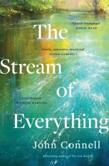 The Stream of Everything