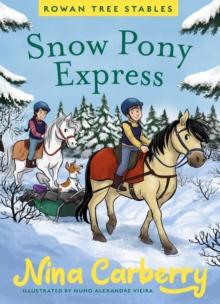 Rowan Tree Stables 3 - Snow Pony Express