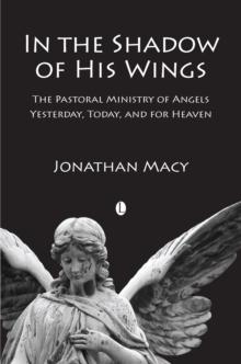 In the Shadow of his Wings : The Pastoral Ministry of Angels: Yesterday, Today, and for Heaven