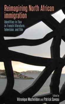 Reimagining North African Immigration : Identities in Flux in French Literature, Television, and Film