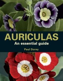 Auriculas : An Essential Guide