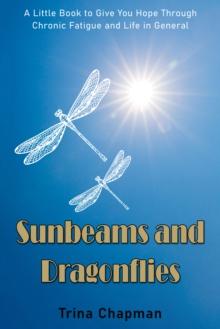 Sunbeams and Dragonflies