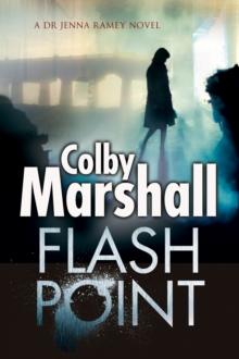 Flash Point : A Psychological Thriller