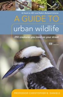 A Guide To Urban Wildlife : 250 creatures you meet on your street