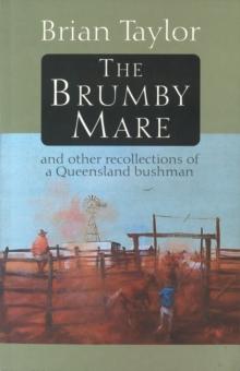 The Brumby Mare