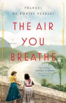 The Air You Breathe : A Novel