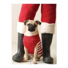 Pug Elf Notecards