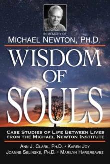 Wisdom of Souls : Case Studies of Life Between Lives from the Michael Newton Institute