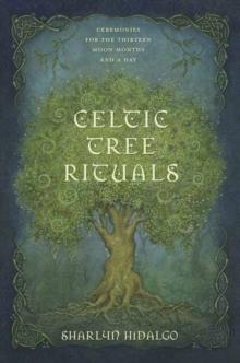 Celtic Tree Rituals : Ceremonies for the 13 Moon Months and a Day