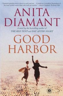 Good Harbor : A Novel