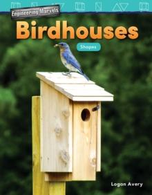 Engineering Marvels: Birdhouses : Shapes