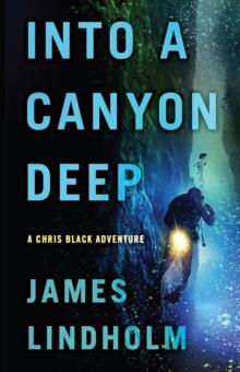 Into A Canyon Deep : A Chris Black Adventure