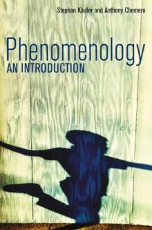 Phenomenology : An Introduction