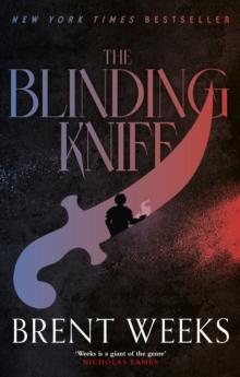 The Blinding Knife : Book 2 of Lightbringer